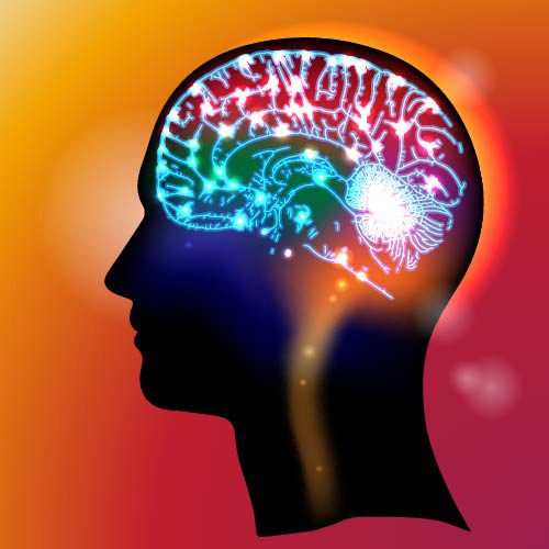 Harmful Effects Addiction Symptoms Klonopin - brain neurotransmission - twin lakes recovery center