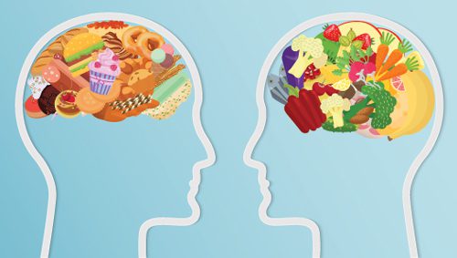 illustration of brain food