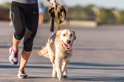 woman jogging with dog - relapse