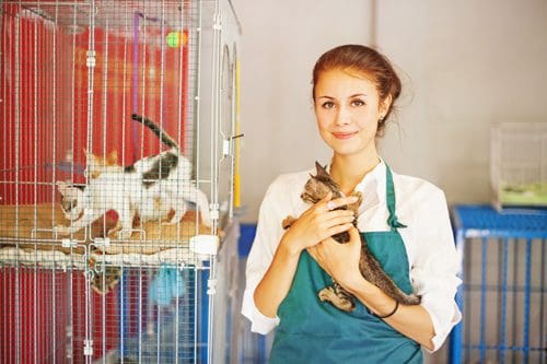 young volunteer woman holding kitten - giving back