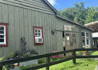 Save the Horses Alumni Volunteer event - Twin Lakes Alumni Program